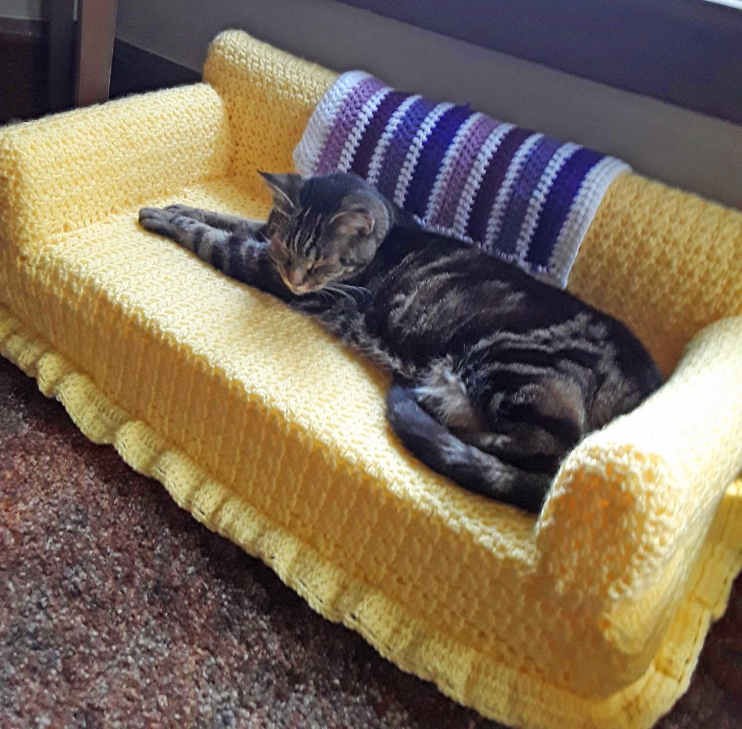 Cat Lovers' Delight: Exploring the Charming World of Miniature Crochet